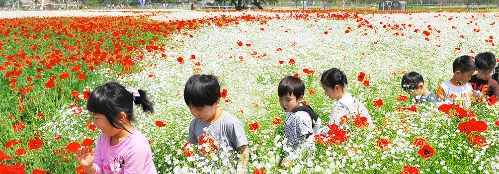 태화강 국가정원