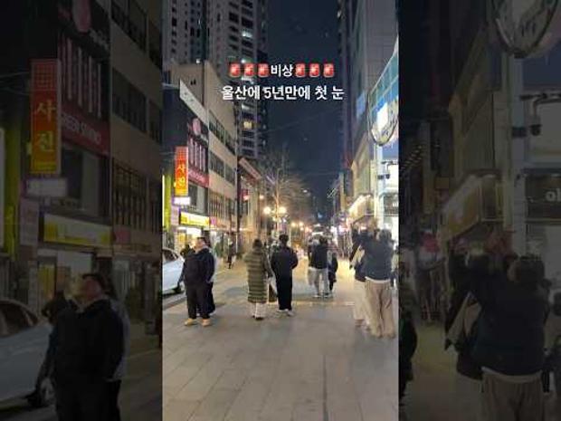 울산온 지 5년 만에 처음 봄!! 울산눈 울산첫눈_세로