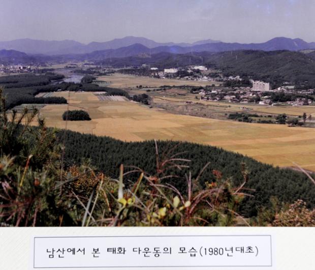남산에서 본태화 다운동의모습(1980년대초)