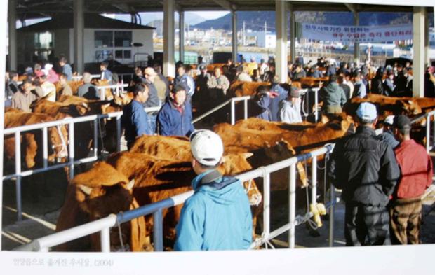 언양읍으로 옮겨진 우시장(2004)