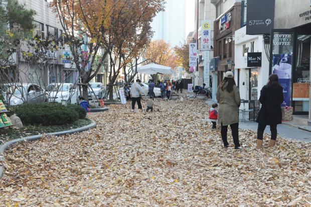문화의거리 낙엽길조성