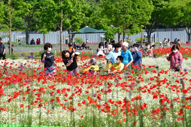 태화강국가정원 봄꽃축제