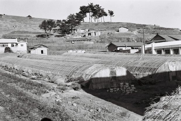 학성동 학성산 주변시가지 전경