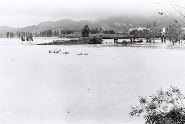 삼호교 인근 시가지 범람