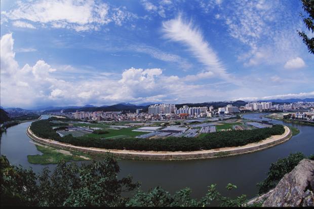 태화강 십리대숲