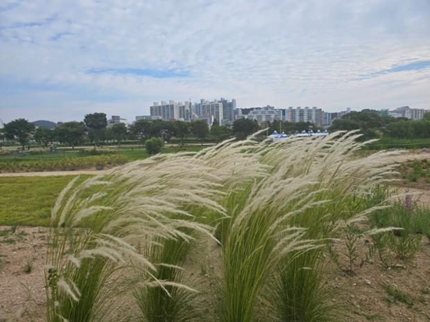 피트 아우돌프 정원