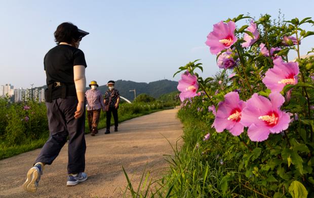태화강국가정원의 무궁화동산