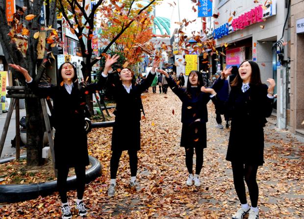 문화의 거리 낙엽길 조성