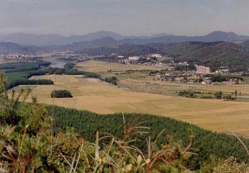 남산에서 본 태화 다운동의 모습(1980년 초)