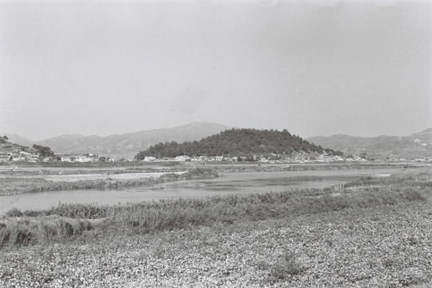 태화강에서본 학성공원주변