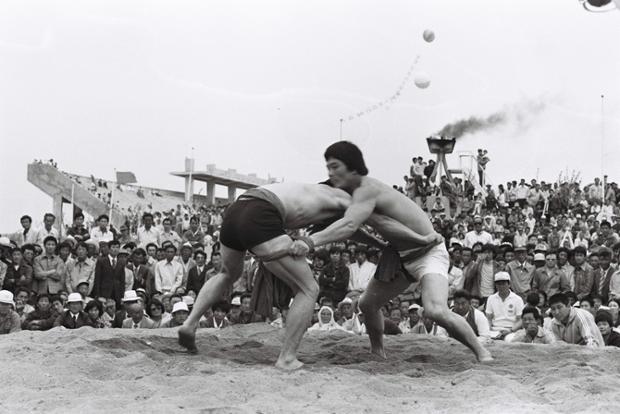 제15회 도민체육대회 마라톤,씨름,싸이클