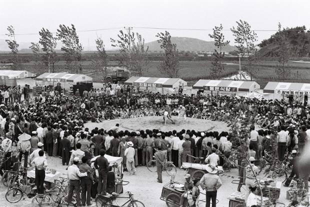제15회 도민체육대회 마라톤,씨름