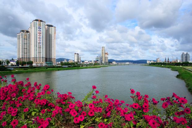 태화교에서본 태화강전경