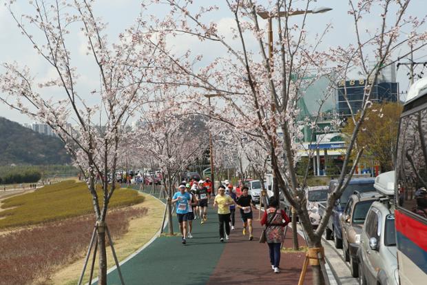 태화강국제마라톤대회