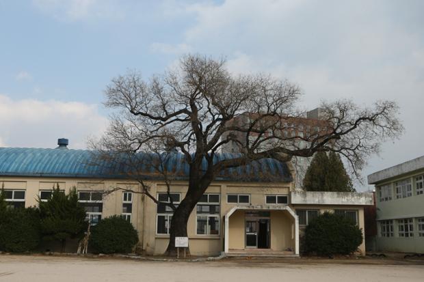 시립미술관(울산초등학교)부지