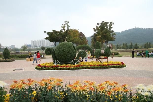 태화강대공원의 국화
