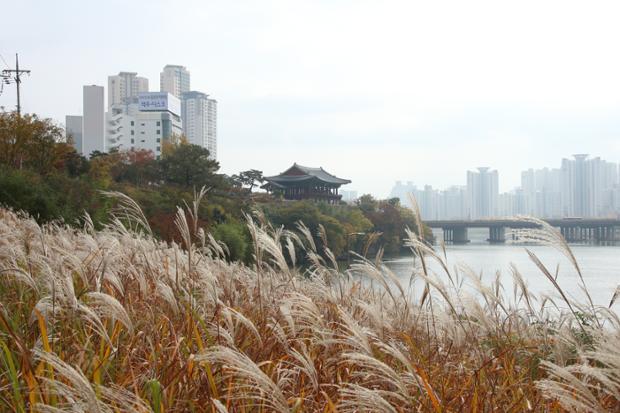 태화루 주변의 가을