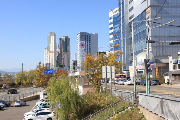 울산교 주변시가지전경
