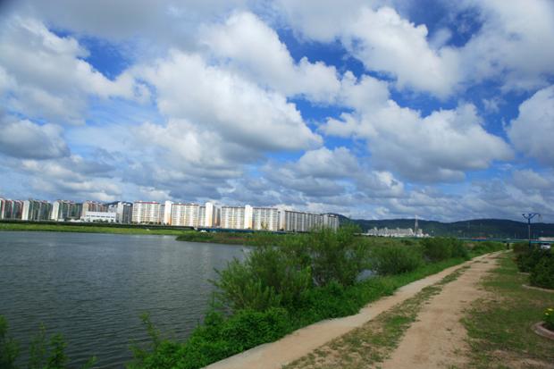 태화강하구의 여름