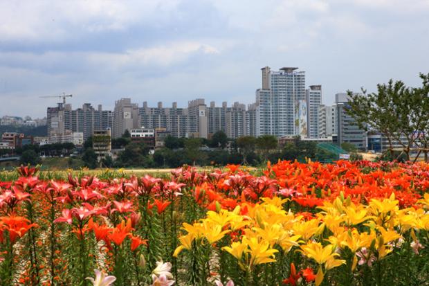 태화강과 시가지(아파트)