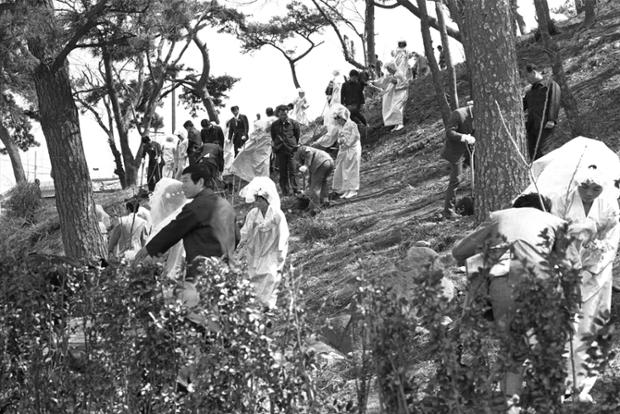 합동결혼식후 학성공원에서 기념식수