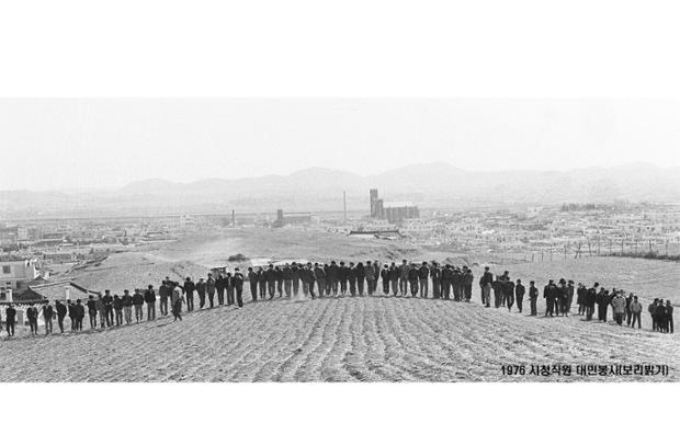 시청직원 대민봉사(보리밟기)