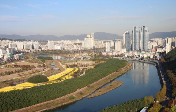 태화강대공원 주변 시가지전경