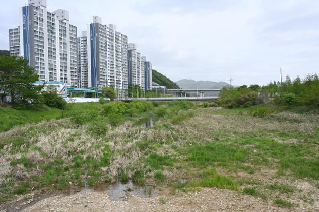 척과천주변시가지
