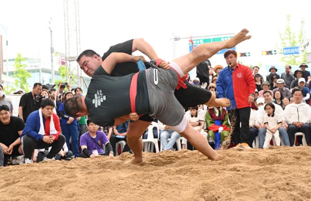 단오맞이 한마당 씨름대회