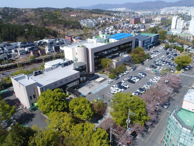 울산중구청_드론_벚꽃_전경