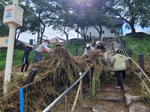 집중호우 신속복구_기획예산실,홍보실,보건소