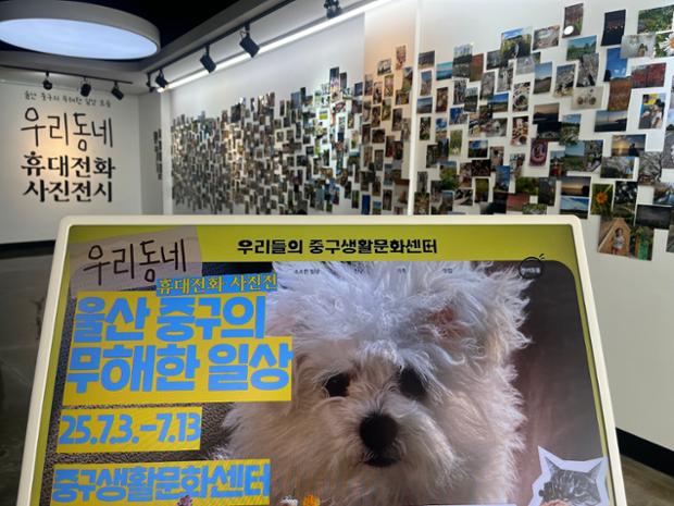 중구생활문화센터, ‘휴대전화 사진 공모전’ 전시 개최