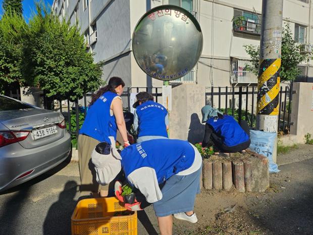 반구1동 바르게살기위원회관내, 양심 거울 주변 환경정비 및 초화 식재