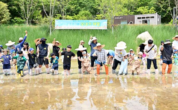 유아숲체험원 숲해설 프로그램_모내기 체험