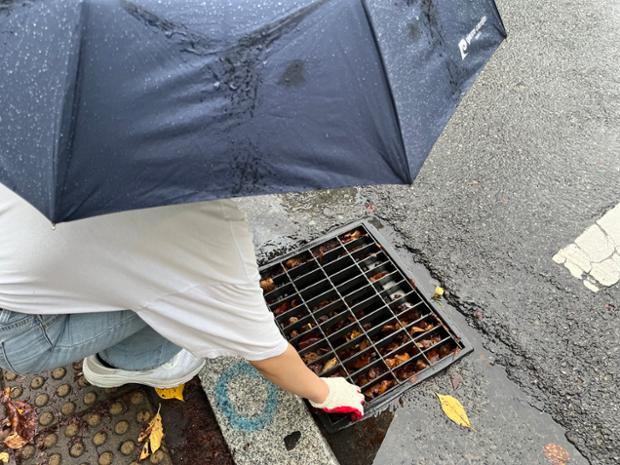 태화동 호우대비 예찰활동