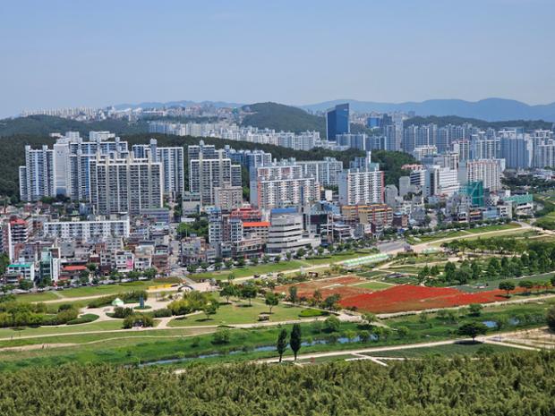 남산에서본 태화강국가정원