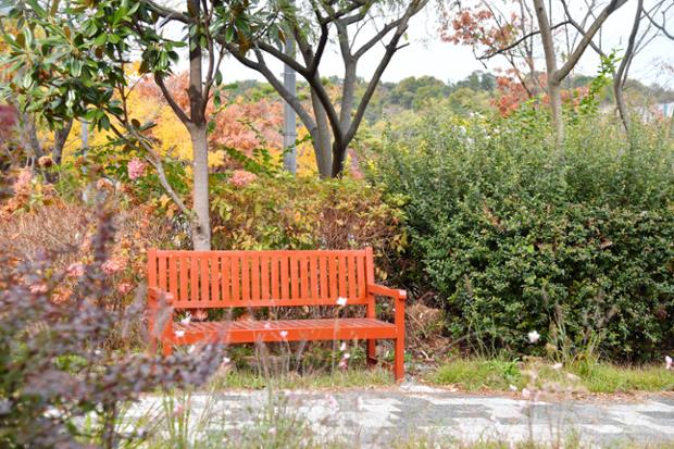 한국산업안전보건공단 앞 사계절가로정원 전경