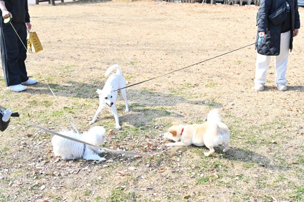 개행복하데이 행사 전경