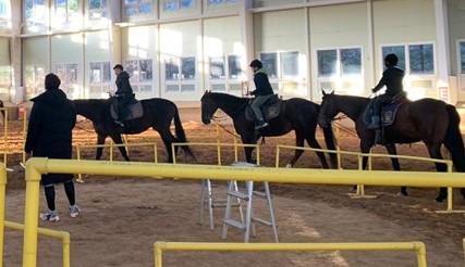 중구, 2026년 붉은 말의 해 학생승마체험 지원사업 참여자 모집