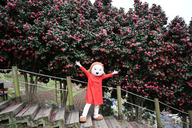 울산 중구 MBC 문화동산 - 동백꽃과 벚꽃(5)