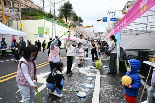 2026년도 약사 벚꽃축제(3)