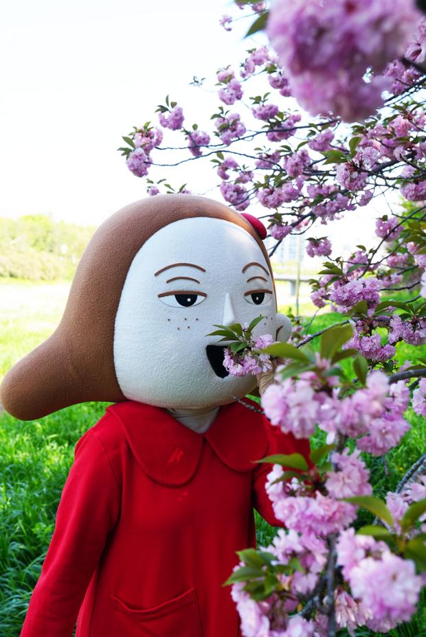 울산큰애기와 함께 - 다운동 겹벚꽃2