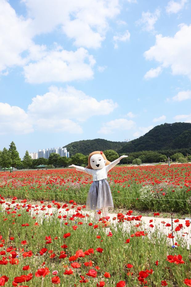 울산 큰애기와 함께 - 태화강 국가정원 양귀비