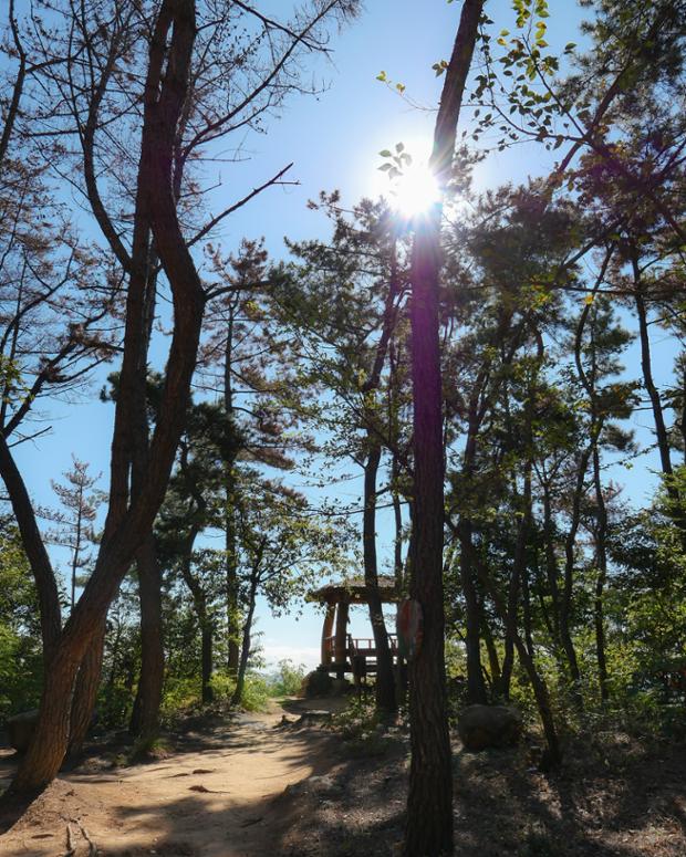 울산큰애기와 함께 황방산 나들이(맨발등산로 등) (10)