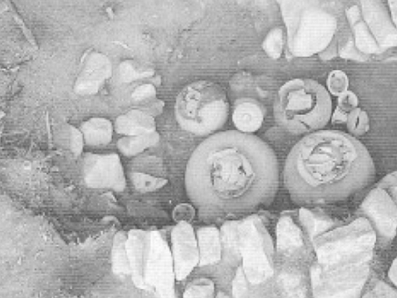 다운동 고분군 이미지