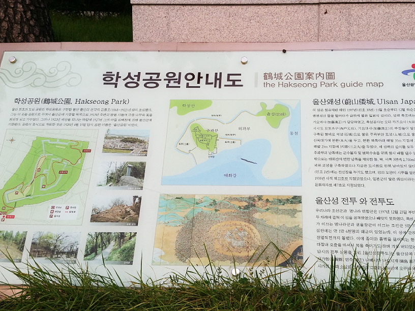학성공원의 벚꽃과 동백메인 이미지