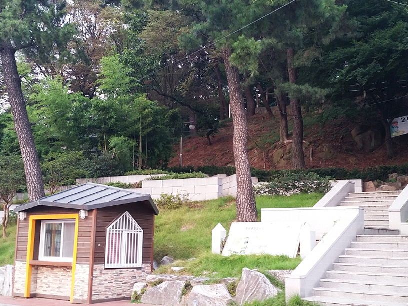 학성공원의 벚꽃과 동백메인 이미지