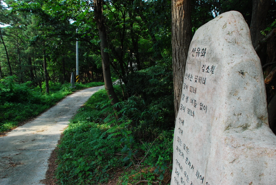 입화산 자연휴양림메인 이미지