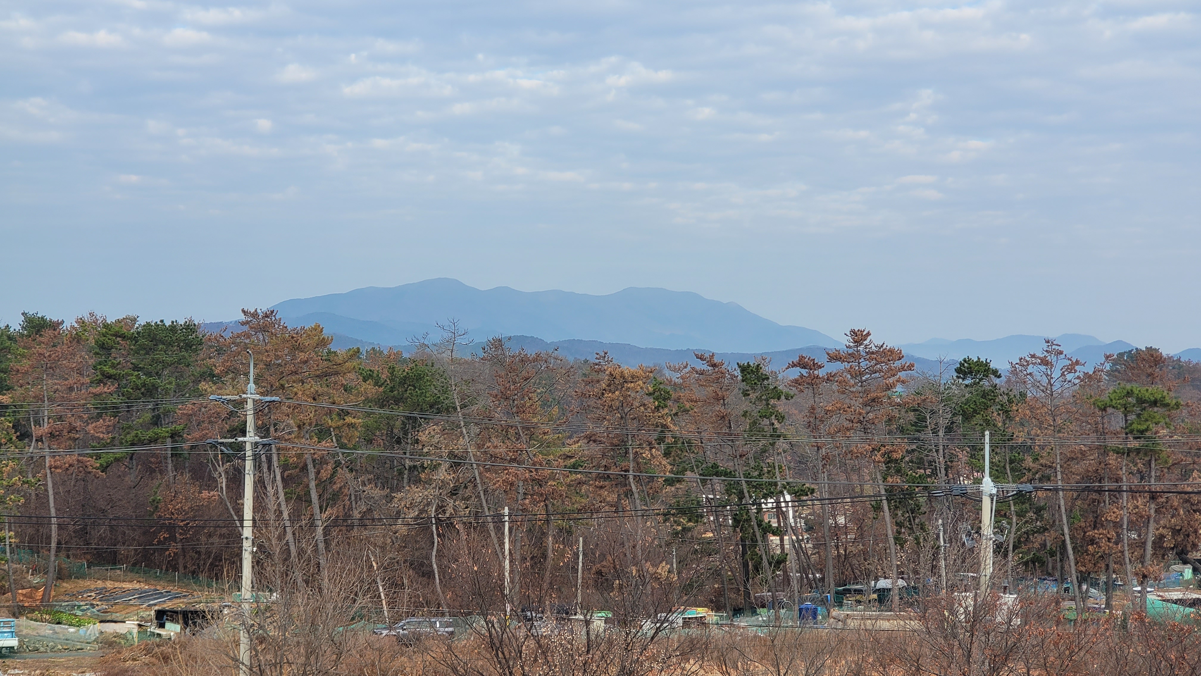 재선충 방재작업을 신속하게 처리 요청합니다. 이미지(1)