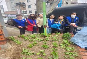 바르게살기위원회 봄맞이 양심거울 화단 초화 식재 이미지